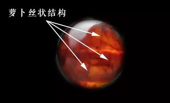 抚顺琥珀血珀好还是蓝珀好,琥珀蜜蜡哪种有收藏价值