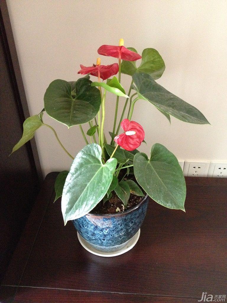 78平方两室一厅复古美式,20万装修3室两厅两卫美式