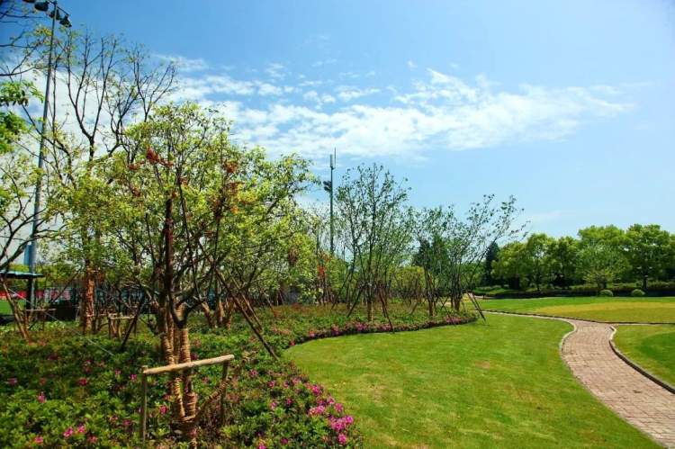 世纪公园还开吗,世纪公园免费开放