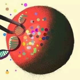 国外基因治疗血友病,转基因技术可以治疗血友病吗