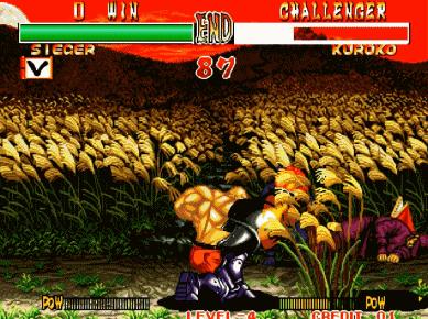 街机游戏必杀技大全,街机游戏中的奇葩必杀技