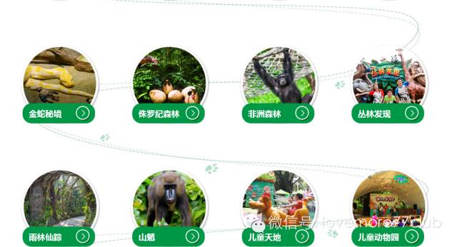 一日游广州长隆野生动物园攻略,广州长隆野生动物园自由行攻略