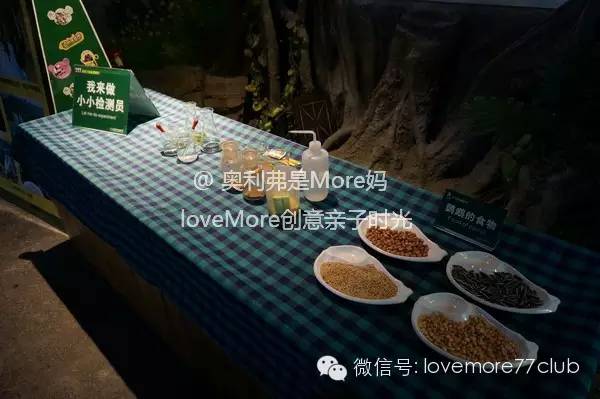 一日游广州长隆野生动物园攻略,广州长隆野生动物园自由行攻略