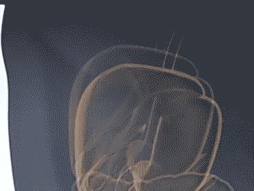 武汉的光谷是个什么地方,武汉最神奇的地方东湖高新