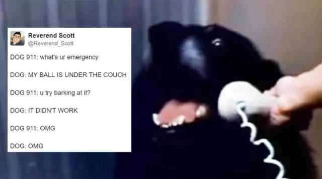 杨幂c罗,原来c罗才是最终赢家