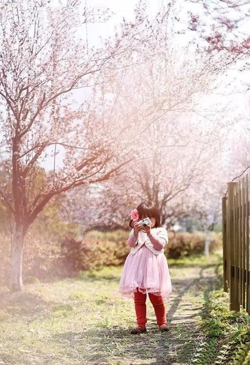 这些镜头里的花，让我瞬间变“花痴”