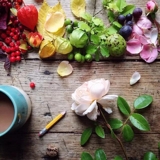 这些镜头里的花，让我瞬间变“花痴”