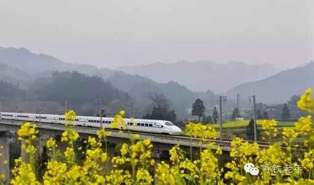 中国高铁全世界排名,高铁世界排名第一的国家