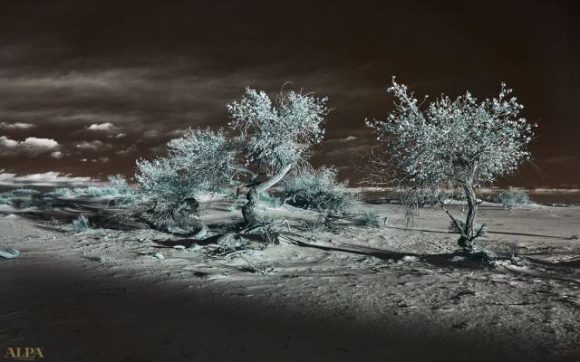 三分钟了解佳能系列,三分钟了解世界地形图