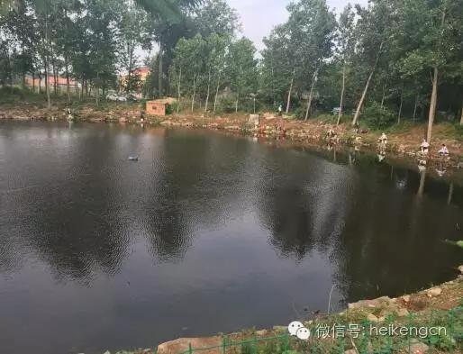 黑坑偷驴上岸完整视频,黑坑偷驴上岸全集