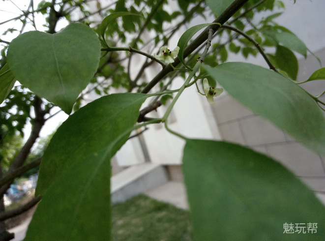 魅蓝note3制造成本,3c产品消费者调研