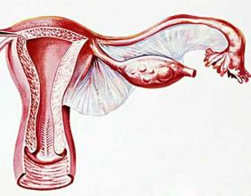 《妇科检查大全》及相关作用，女人，你值得拥有！