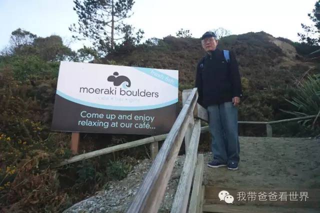 新西兰奇异圆石,摩拉基大圆石龟背形成原因