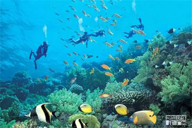 普吉岛人均5000,普吉岛2000元