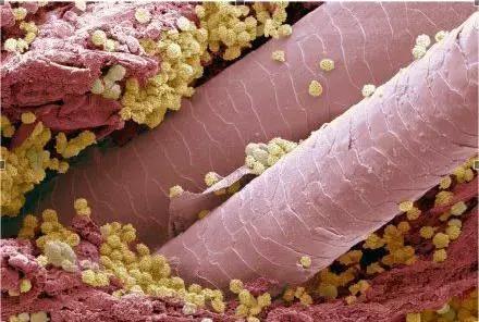 医学人士看图涨姿势系列