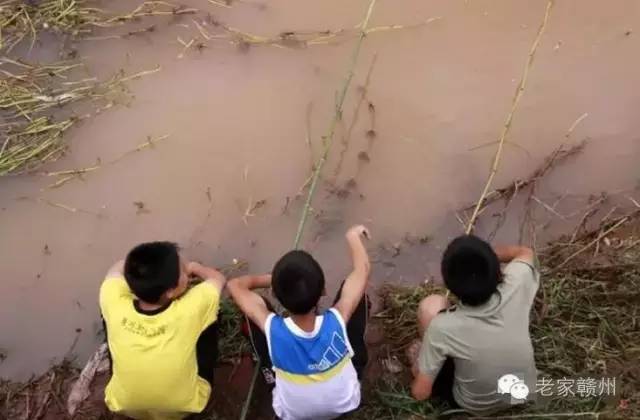 客家人捕鱼的视频,客家传统打鱼视频