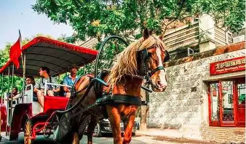 天津青年旅社推荐混住,天津值得去的青年旅舍
