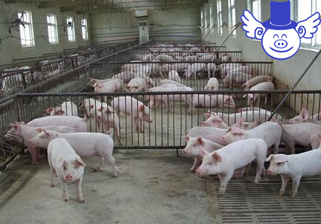 如何解决相互压价,面对同行压价怎么办