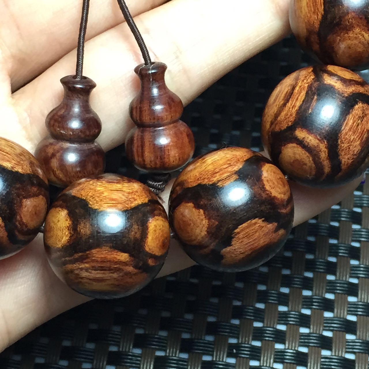 紫檀柳与海黄,紫檀柳对比海黄