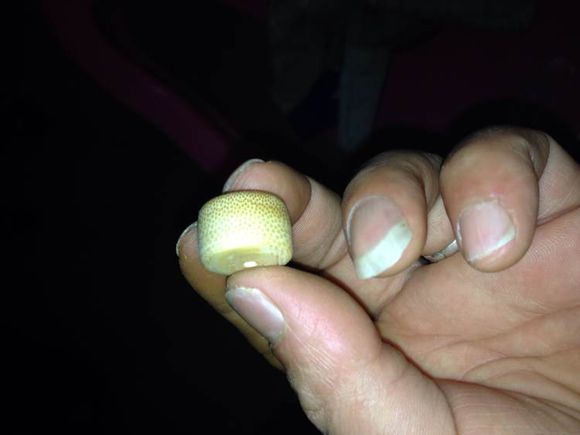 树枝车珠子,用松树车珠子