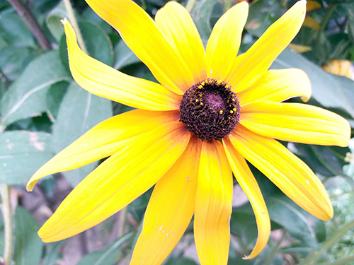 2千块买华为还是买三星,2千多买个二手手机值得吗