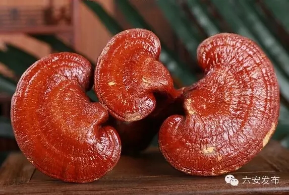 再添国字号殊荣,六安七个国家级荣誉城市称号