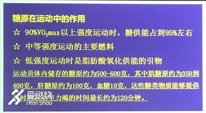 上半马攻略,上半马视频