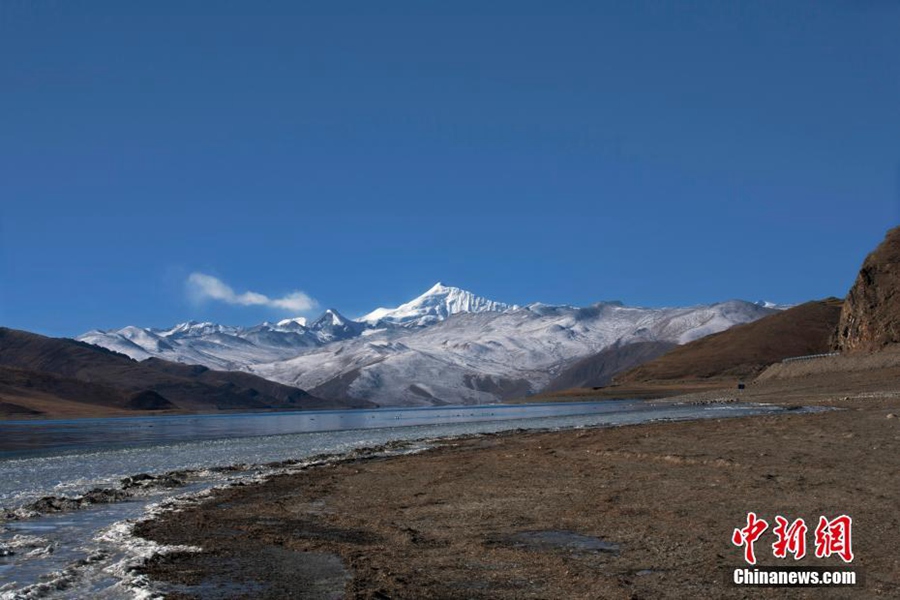 雪域高原风光秀丽视频,雪域高原的美丽风景