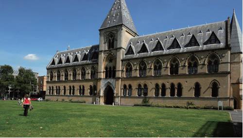 爱丽丝创始人,爱丽丝的作者是数学家