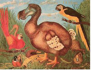 爱丽丝创始人,爱丽丝的作者是数学家