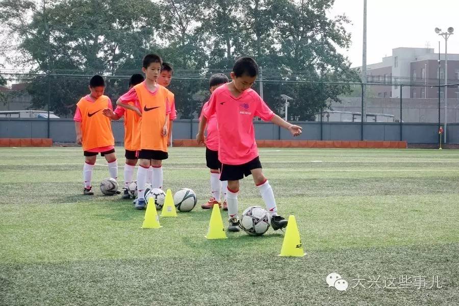 堪比淘宝大兴这个早市不赖地儿大货全免费停车