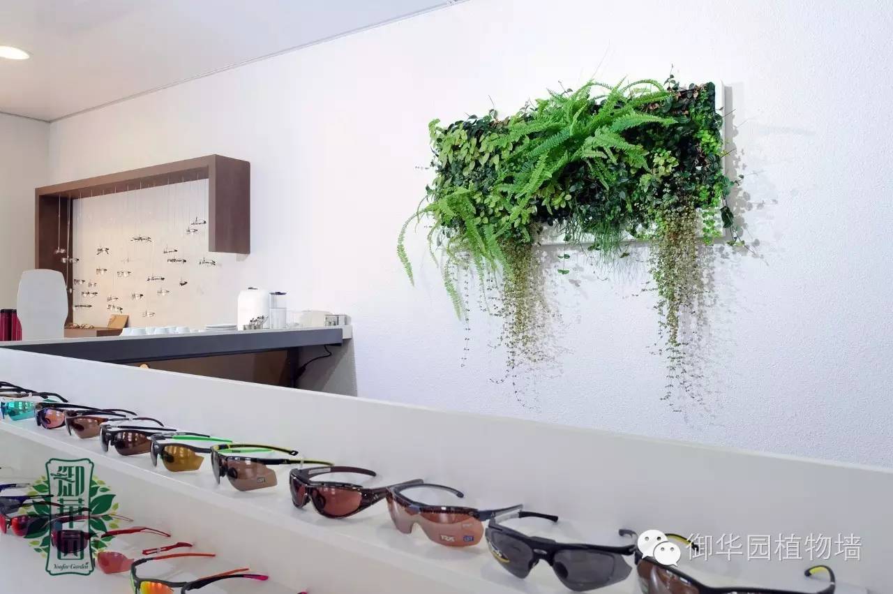 新鲜出炉┃十大唯美植物壁画排行榜,第一名竟然是......