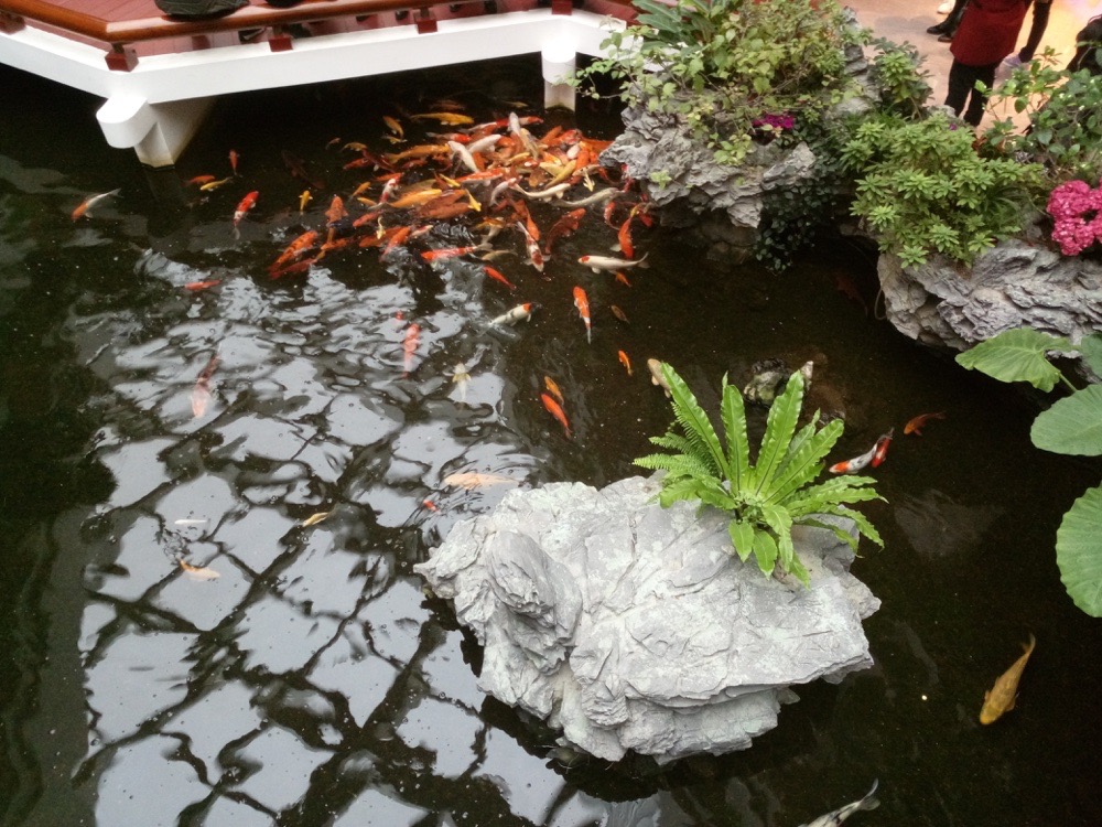 vivox6plus游戏测评,vivox6plus音质最好