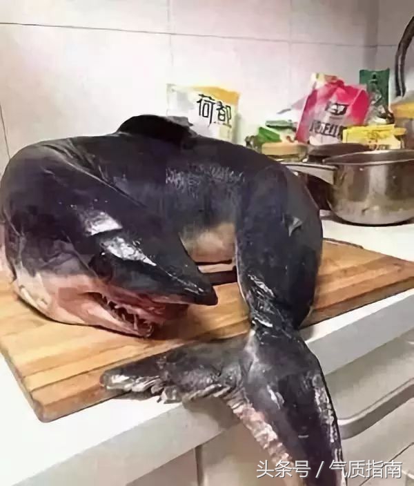 代购骗局朋友圈,朋友圈代购真实案例