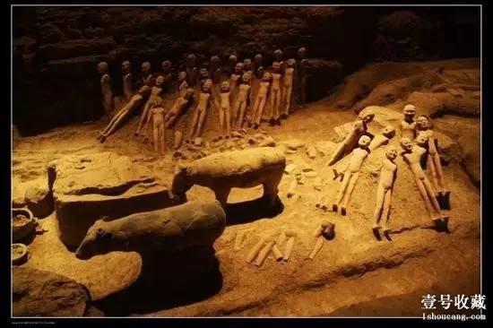 每日壹闻,考古发现世界最早茶叶