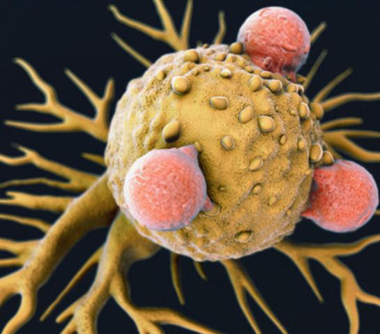 橄榄油的好处与功效,橄榄油的好处有哪些啊