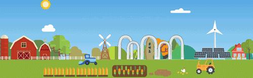 2020崇明花卉博览会,崇明花博会郁金香