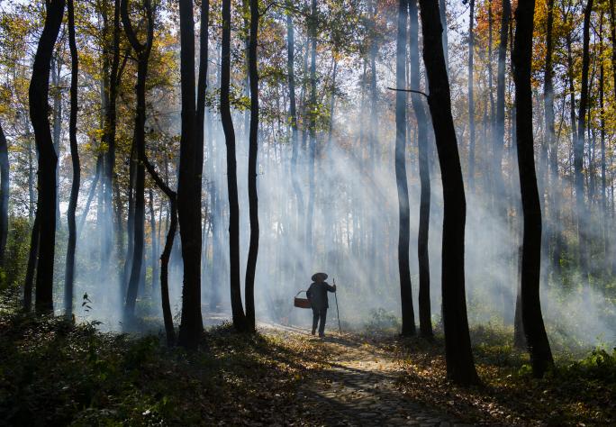 「纪检人·镜头」轻雷初惊蛰耕种满田畴