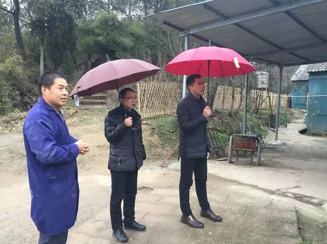 一把手访谈稿,一把手访谈王志伟