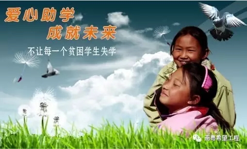 回顾2022大事记,2017青基会