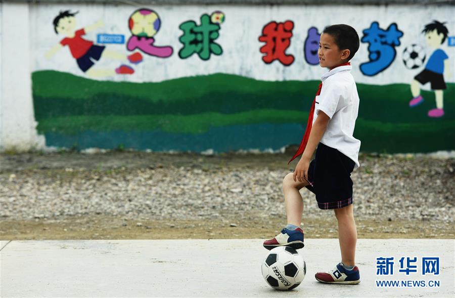 浙江在建专业足球场,浙江足球场训练基地