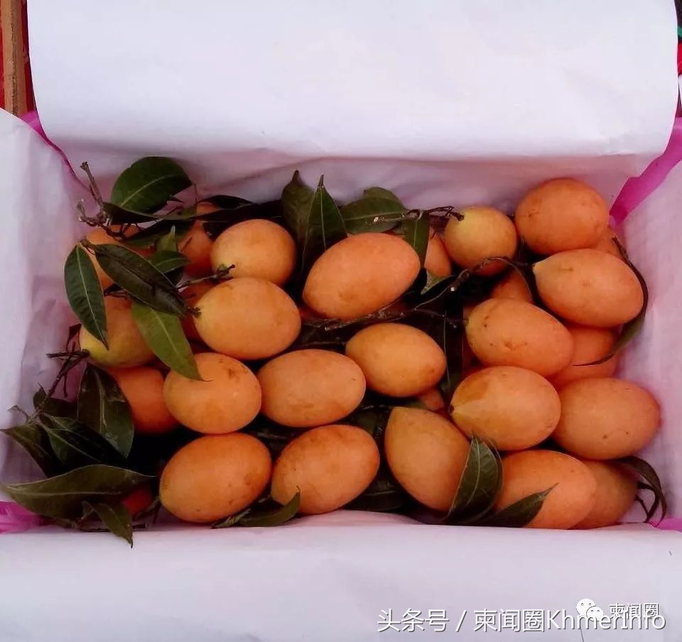 柬埔寨的特色水果有哪些,柬埔寨十大热带水果