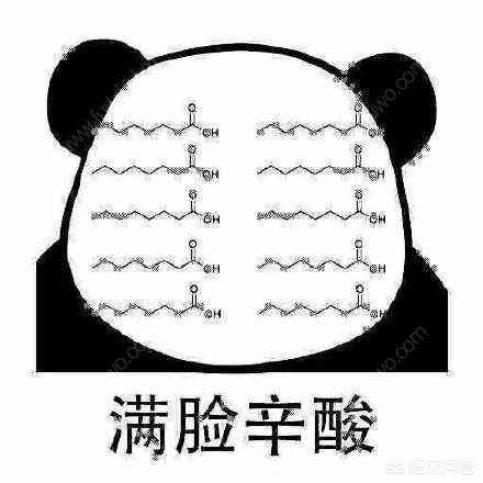 互联网企业的现金流量变化,流量怎么变现成现金呢