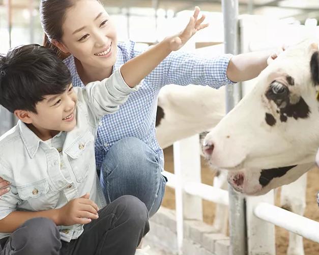 伊利工厂的真实感受,探秘伊利工厂