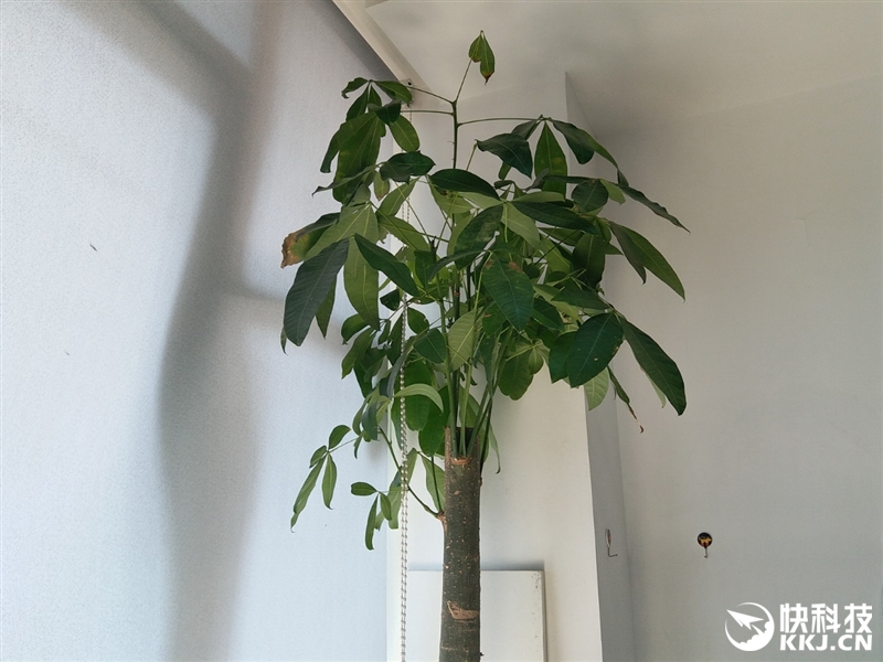 三星galaxyc5详细参数在哪看,三星galaxy799元