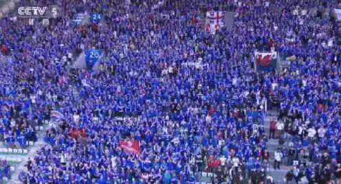 冰岛是一个怎样的国家队,冰岛国家队战术