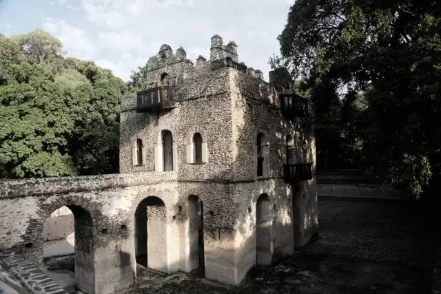 特约专栏|眼界再远，也不妨回头看看“摇篮”