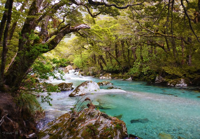 趁年轻我们一起去旅行,趁年轻我们一起去旅行吧