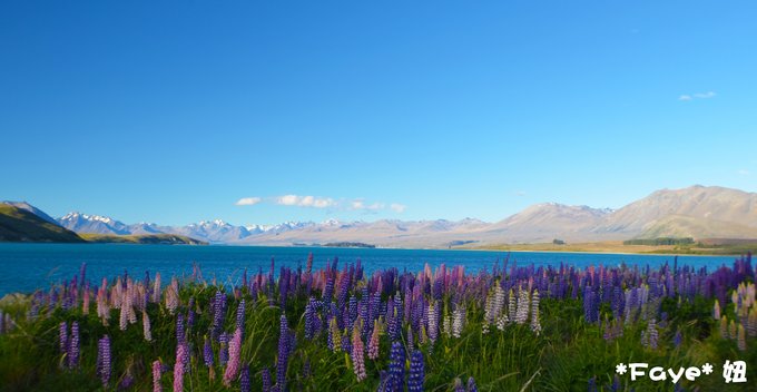 趁年轻我们一起去旅行,趁年轻我们一起去旅行吧