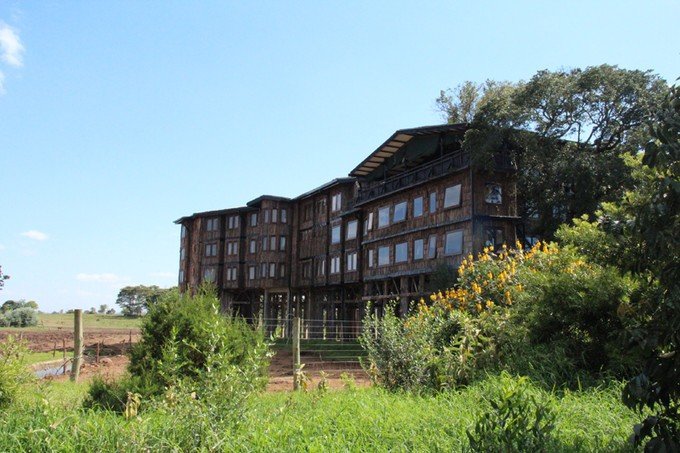 12天肯尼亚动物大迁徙自驾之旅,肯尼亚动物旅行